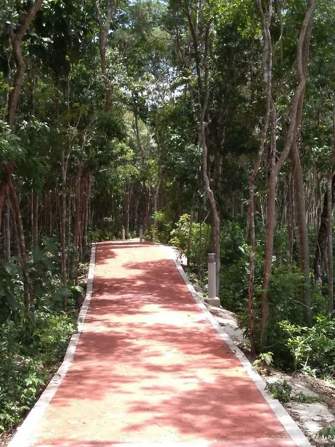Playa Del Carmen Apartment
